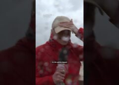 CNN reporter says Isaias rain is like ‘getting slapped right in the face’